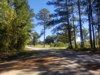 Perfect home site located in the heart of the Broad River - Lake Lot For Sale in Tignall, Georgia