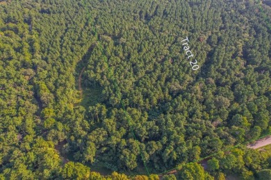 Lake Palestine Acreage For Sale in Frankston Texas