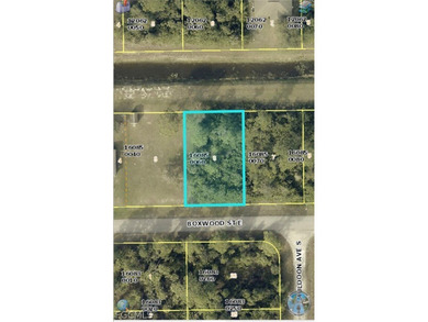 Lehigh Acres Area Lot For Sale in Lehigh Acres Florida