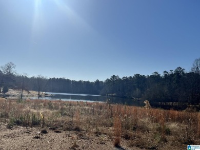 Lake Acreage For Sale in Columbiana, Alabama