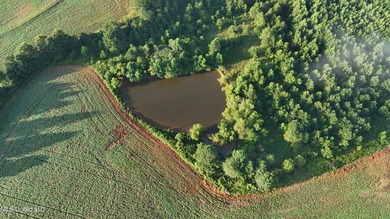 315+/-Acre Turnkey Farm & Recreational Tract | Potts Camp, MS - photo 11