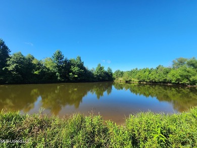 315+/-Acre Turnkey Farm & Recreational Tract | Potts Camp, MS - photo 12