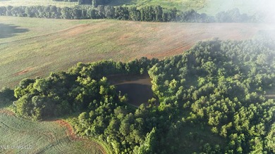 315+/-Acre Turnkey Farm & Recreational Tract | Potts Camp, MS - photo 13