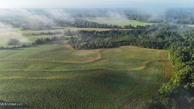 315+/-Acre Turnkey Farm & Recreational Tract | Potts Camp, MS - photo 14
