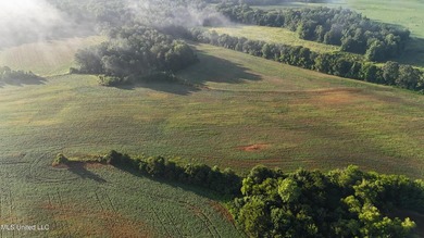 315+/-Acre Turnkey Farm & Recreational Tract | Potts Camp, MS - photo 15