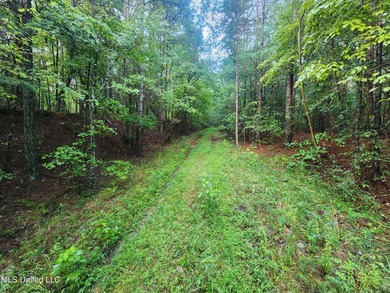 315+/-Acre Turnkey Farm & Recreational Tract | Potts Camp, MS - photo 16
