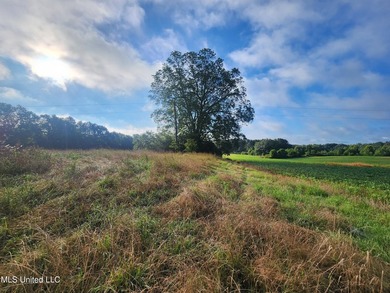 315+/-Acre Turnkey Farm & Recreational Tract | Potts Camp, MS - photo 17