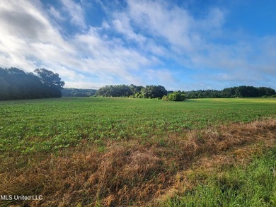 315+/-Acre Turnkey Farm & Recreational Tract | Potts Camp, MS - photo 18