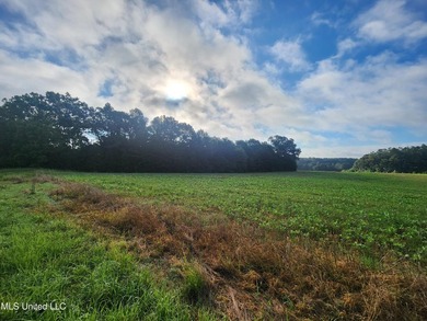 315+/-Acre Turnkey Farm & Recreational Tract | Potts Camp, MS - photo 19