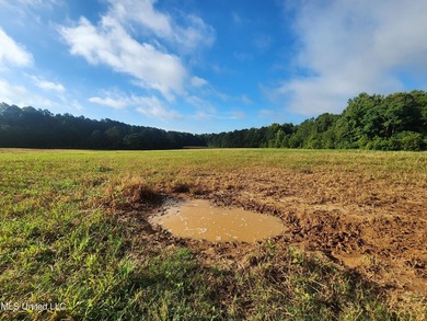 315+/-Acre Turnkey Farm & Recreational Tract | Potts Camp, MS - photo 20