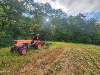 315+/-Acre Turnkey Farm & Recreational Tract | Potts Camp, MS - photo 22