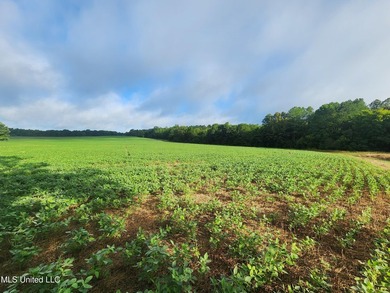 315+/-Acre Turnkey Farm & Recreational Tract | Potts Camp, MS - photo 25