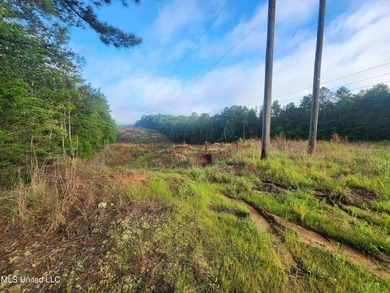 315+/-Acre Turnkey Farm & Recreational Tract | Potts Camp, MS - photo 26