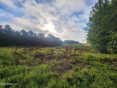 315+/-Acre Turnkey Farm & Recreational Tract | Potts Camp, MS - photo 27