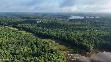 315+/-Acre Turnkey Farm & Recreational Tract | Potts Camp, MS - photo 28