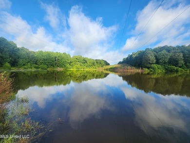 315+/-Acre Turnkey Farm & Recreational Tract | Potts Camp, MS - photo 30