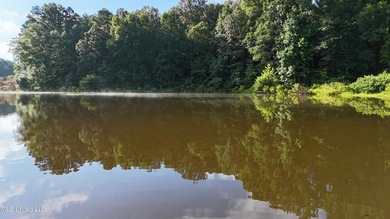 315+/-Acre Turnkey Farm & Recreational Tract | Potts Camp, MS - photo 31