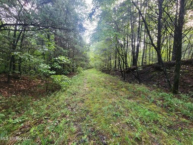 315+/-Acre Turnkey Farm & Recreational Tract | Potts Camp, MS - photo 33