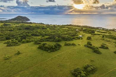 Hana Ranch is the largest offering on Maui and one of the few - photo 3