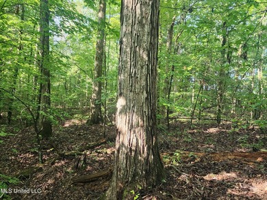 315+/-Acre Turnkey Farm & Recreational Tract | Potts Camp, MS - photo 35