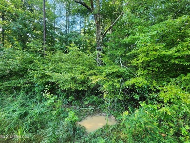 315+/-Acre Turnkey Farm & Recreational Tract | Potts Camp, MS - photo 36