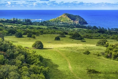 Hana Ranch is the largest offering on Maui and one of the few - photo 6