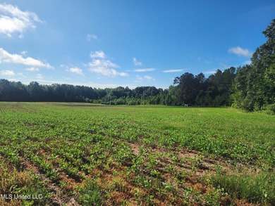 315+/-Acre Turnkey Farm & Recreational Tract | Potts Camp, MS - photo 37