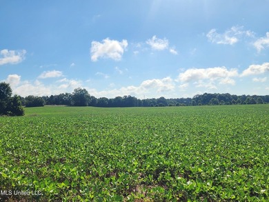 315+/-Acre Turnkey Farm & Recreational Tract | Potts Camp, MS - photo 38
