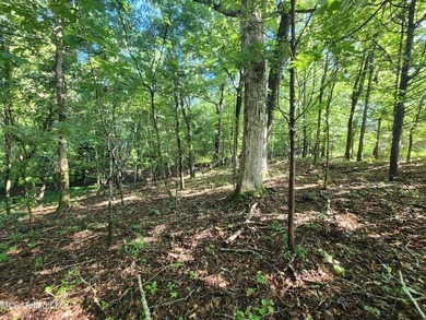 315+/-Acre Turnkey Farm & Recreational Tract | Potts Camp, MS - photo 39