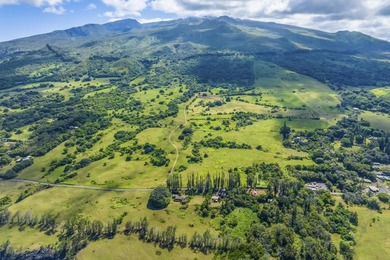 Hana Ranch is the largest offering on Maui and one of the few - photo 9