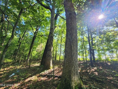 315+/-Acre Turnkey Farm & Recreational Tract | Potts Camp, MS - photo 40
