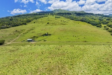 Hana Ranch is the largest offering on Maui and one of the few - photo 10
