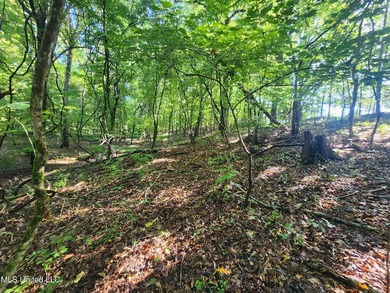 315+/-Acre Turnkey Farm & Recreational Tract | Potts Camp, MS - photo 42