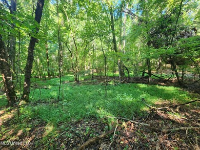 315+/-Acre Turnkey Farm & Recreational Tract | Potts Camp, MS - photo 43