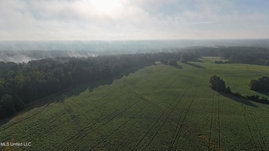 315+/-Acre Turnkey Farm & Recreational Tract | Potts Camp, MS - photo 45