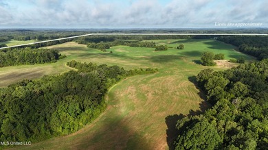 315+/-Acre Turnkey Farm & Recreational Tract | Potts Camp, MS - photo 47