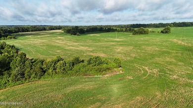 315+/-Acre Turnkey Farm & Recreational Tract | Potts Camp, MS - photo 48
