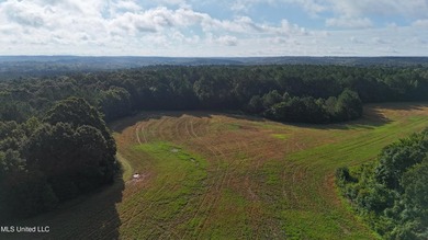 315+/-Acre Turnkey Farm & Recreational Tract | Potts Camp, MS - photo 49