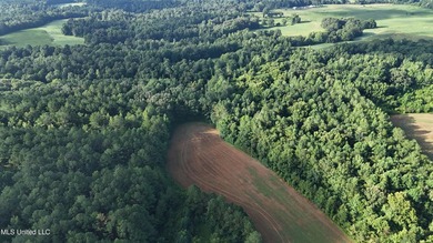 315+/-Acre Turnkey Farm & Recreational Tract | Potts Camp, MS - photo 50
