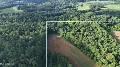 315+/-Acre Turnkey Farm & Recreational Tract | Potts Camp, MS - photo 51