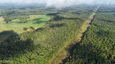 315+/-Acre Turnkey Farm & Recreational Tract | Potts Camp, MS - photo 52