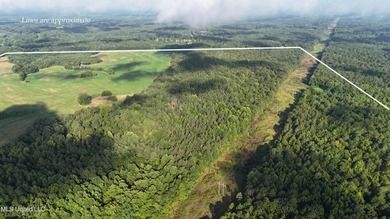 315+/-Acre Turnkey Farm & Recreational Tract | Potts Camp, MS - photo 53