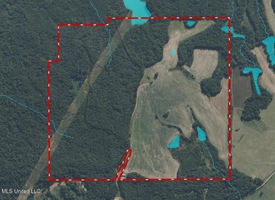 315+/-Acre Turnkey Farm & Recreational Tract | Potts Camp, MS - photo 58