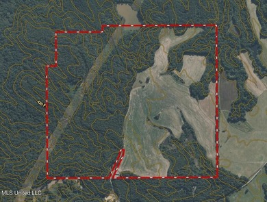 315+/-Acre Turnkey Farm & Recreational Tract | Potts Camp, MS - photo 59