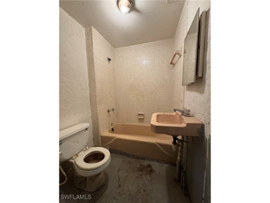 Charming fixer-upper on a corner lot in a rapidly developing - photo 9