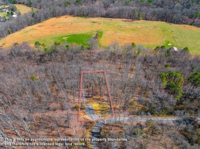 (private lake, pond, creek) Lot For Sale in Newport Tennessee