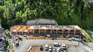 Lake Townhome/Townhouse For Sale in Gatlinburg, Tennessee