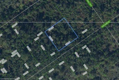 Lake Lot For Sale in Lake Placid, Florida