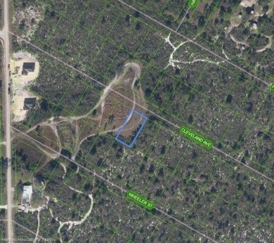 Lake Lot For Sale in Lake Placid, Florida