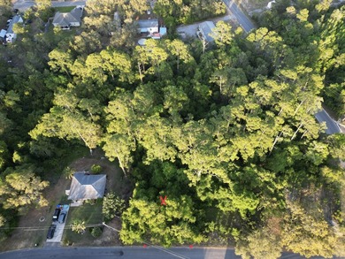 476 acre wooded interior lot zoned R1M . Not in flood Zone so - photo 16